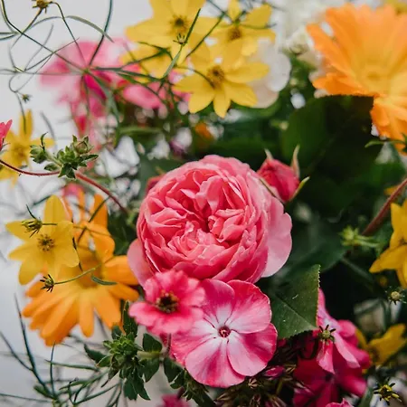 Apartmán Hof Osterholz *