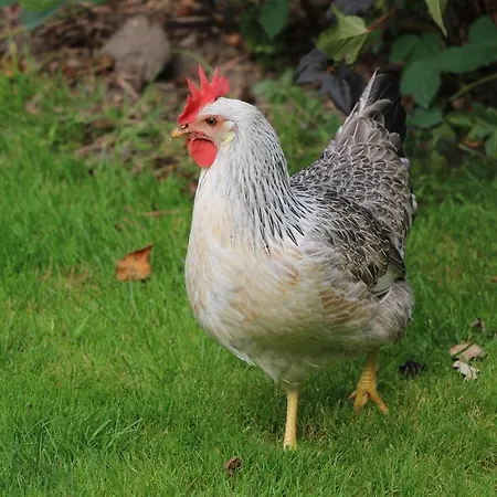 Apartmán Hof Osterholz *